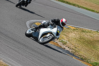 Lower Group White Bikes